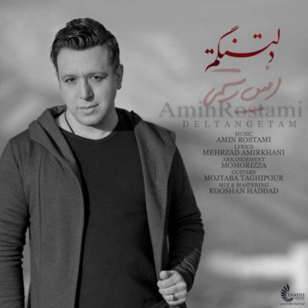 دانلود آهنگ جدید امین رستمی به نام دلتنگتم