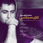 دانلود آهنگ جدید سعید شهروز کاری نمیکنی