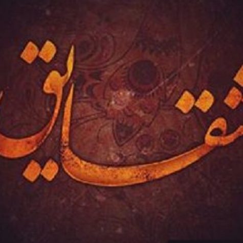 دانلود آهنگ شقایق دلم مثل دلت خونه شقایق دانلود آهنگ شقایق دلم مثل دلت خونه شقایق