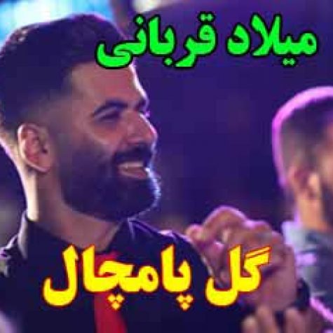 دانلود آهنگ میلاد قربانی گل پامچال دانلود آهنگ میلاد قربانی گل پامچال