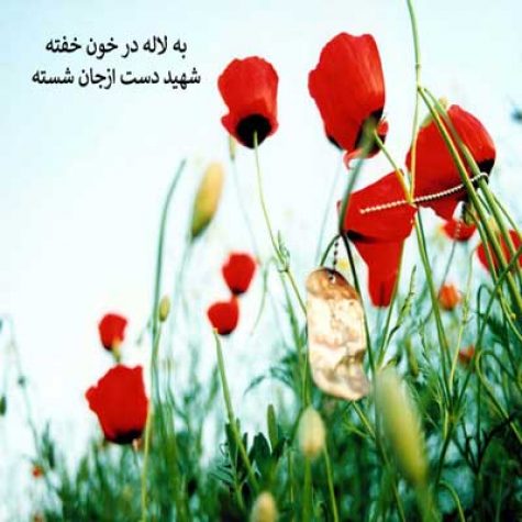 دانلود سرود انقلابی به لاله در خون خفته