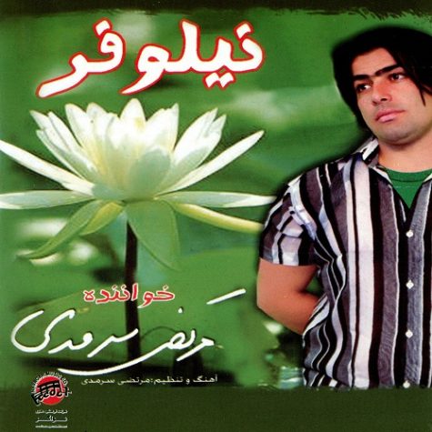 دانلود آهنگ مرتضی سرمدی نیلوفر