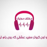 دانلود آهنگ تو اون کبوتر سفید عشقی که روی بام تو نشسته بودم