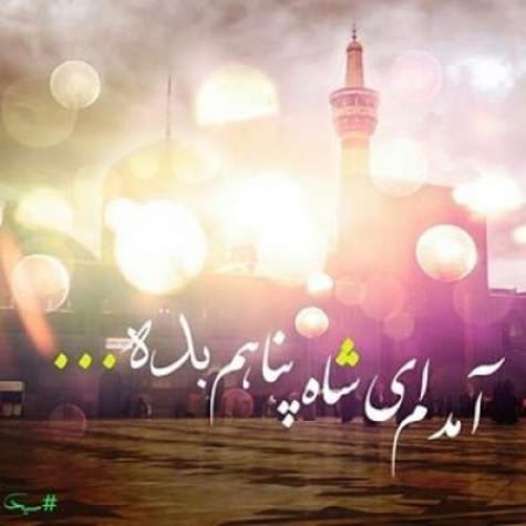 دانلود آهنگ امین بانی امام رضا (ع)