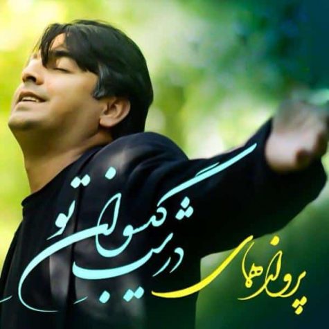 دانلود آهنگ پرواز همای در شب گیسوان دانلود آهنگ پرواز همای در شب گیسوان