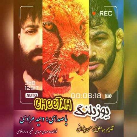 دانلود آهنگ وحید مرادی یوزپلنگ