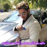 دانلود فول آلبوم تمامی آهنگ های شانیکو