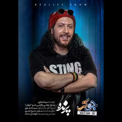 دانلود آهنگ سینا حجازی پرنده