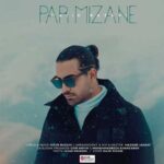 دانلود آهنگ مجید رضوی پر میزنه