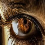 دانلود آهنگ روسی چشمان قهوه ای تو