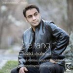 دانلود آهنگ سعید شهروز دلتنگی دانلود آهنگ سعید شهروز دلتنگی