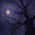 دانلود آهنگ کریم آراز و سوگیم ییلماز دایانامیوروم