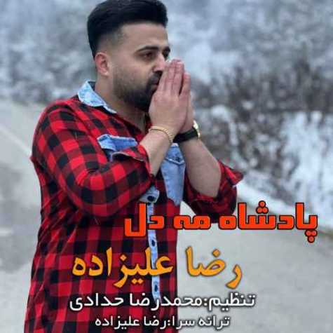 دانلود آهنگ رضا علیزاده پادشاه مه دل