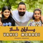 دانلود آهنگ وحید مرادی باران طلا
