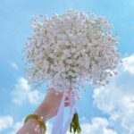 دانلود ریمیکس به دیدن من بیا مهتاب در اومد دیجی بیک