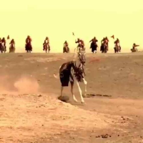 دانلود مداحی میثم مطیعی ای بقیع گریه کن بر مزاری دانلود مداحی میثم مطیعی ای بقیع گریه کن بر مزاری