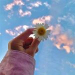 دانلود آهنگ پلیس میکشه ببو ببو دانلود آهنگ پلیس میکشه ببو ببو