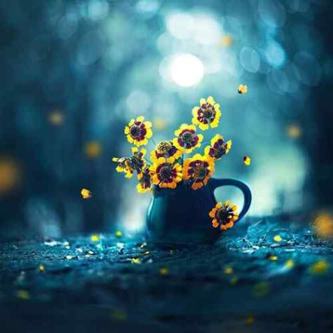 دانلود آهنگ خون توی رگهای منی تو جای چشمای منی دانلود آهنگ خون توی رگهای منی تو جای چشمای منی