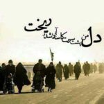 دانلود مداحی سعید حدادیان روضه حضرت زینب