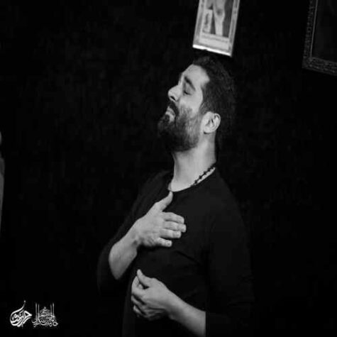 دانلود مداحی مهدی رعنایی حسین باب رحمت
