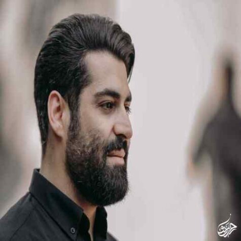 دانلود مداحی مهدی رعنایی روضه دوای درده