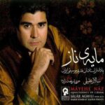 دانلود آهنگ سالار عقیلی سبکبار دانلود آهنگ سالار عقیلی سبکبار