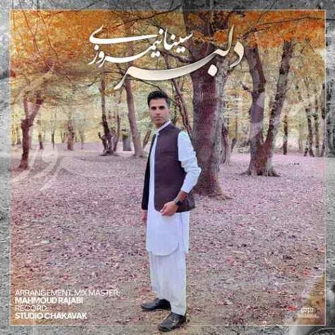 دانلود آهنگ سینا نیمروزی دلبر دانلود آهنگ سینا نیمروزی دلبر