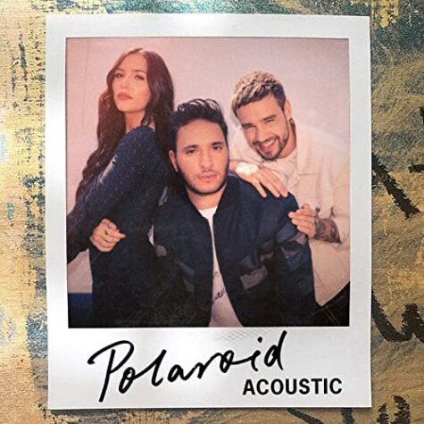 دانلود آهنگ لیام پین Polaroid دانلود آهنگ لیام پین Polaroid