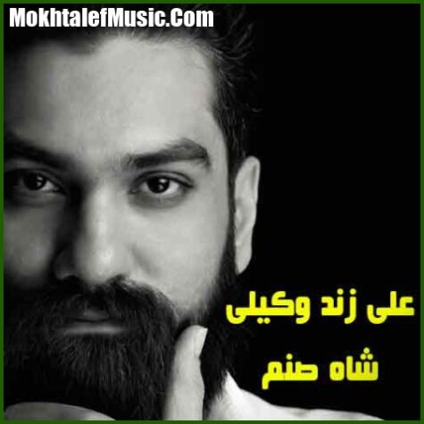 دانلود آهنگ علی زند وکیلی شاه صنم زیبا صنم دانلود آهنگ علی زند وکیلی شاه صنم زیبا صنم