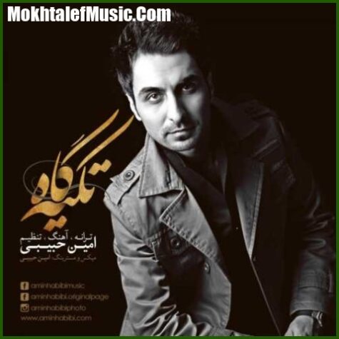 دانلود آهنگ امین حبیبی تکیه گاه دانلود آهنگ امین حبیبی تکیه گاه