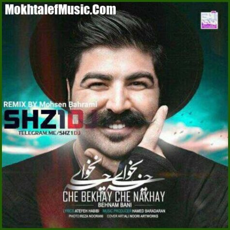دانلود ریمیکس بهنام بانی چه بخوای چه نخوای دانلود ریمیکس بهنام بانی چه بخوای چه نخوای