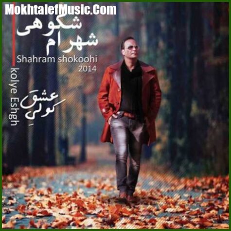 دانلود آهنگ شهرام شکوهی جان خسته