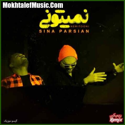 دانلود ریمیکس سینا پارسیان نمیتونی دانلود ریمیکس سینا پارسیان نمیتونی