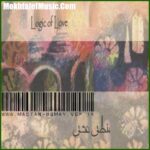 دانلود آهنگ سینا سرلک چون دایره