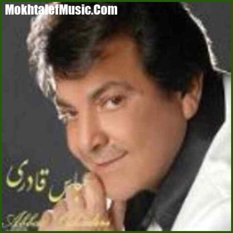 دانلود آهنگ عباس قادری هرچه میخواهد دل تنگت بگو دانلود آهنگ عباس قادری هرچه میخواهد دل تنگت بگو