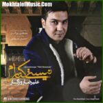دانلود آهنگ علیرضا روزگار نیستی کنارم