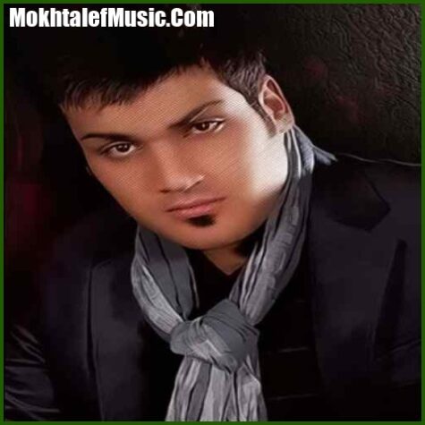 دانلود آهنگ امین فیاض علاقه مندم