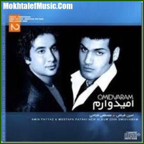دانلود آهنگ امین فیاض و مصطفی فتاحی غریبه دانلود آهنگ امین فیاض و مصطفی فتاحی غریبه