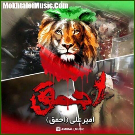 دانلود آهنگ امیر علی احمق دانلود آهنگ امیر علی احمق
