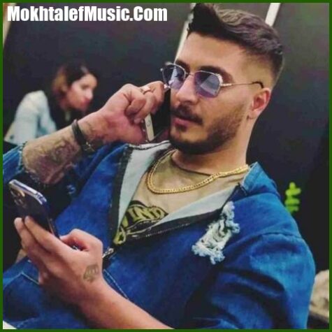 دانلود آهنگ قلبم ولای تو گیره آرمین برمایه
