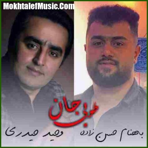 دانلود آهنگ بهنام حسن زاده و وحید حیدری طوبی جان