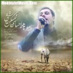 دانلود آهنگ احسان خواجه امیری من عاشقم دانلود آهنگ احسان خواجه امیری من عاشقم