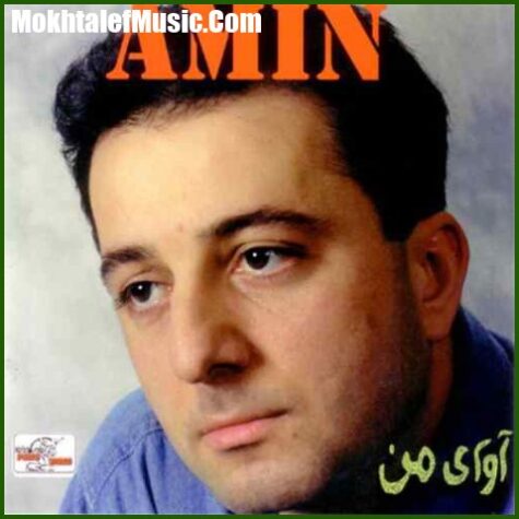 دانلود آهنگ فرشید امین آوای من