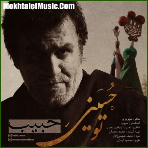 دانلود آهنگ حبیب تو حسینی