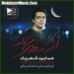 دانلود آهنگ همایون شجریان هوا