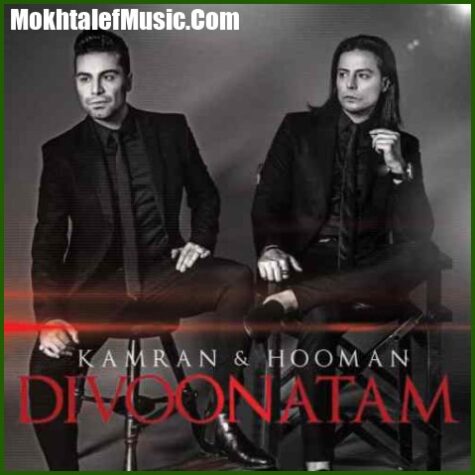 دانلود آهنگ کامران و هومن دیوونتم