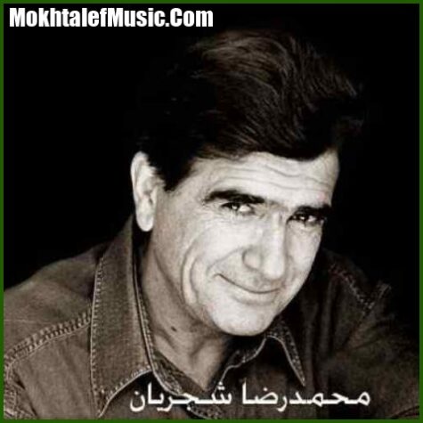دانلود آهنگ محمدرضا شجریان به کدام دل