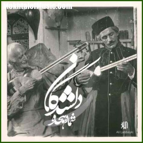 دانلود ریمیکس محمدرضا شجریان دلشدگان 18