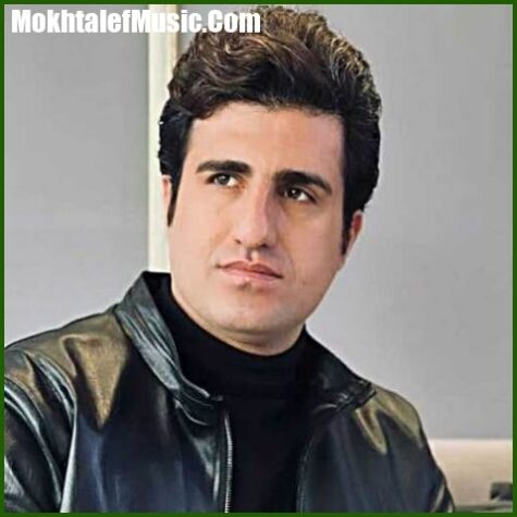 دانلود آهنگ امشو میرم محلشان محسن لرستانی