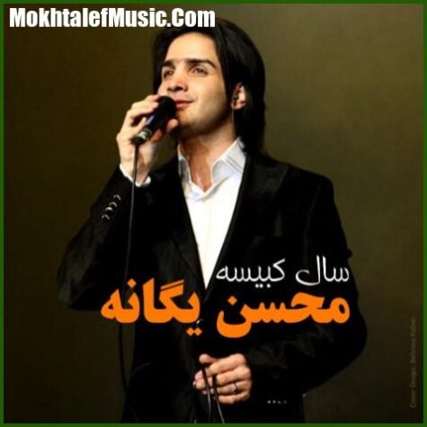 دانلود آهنگ محسن یگانه و حامد هاکان سرنوشت